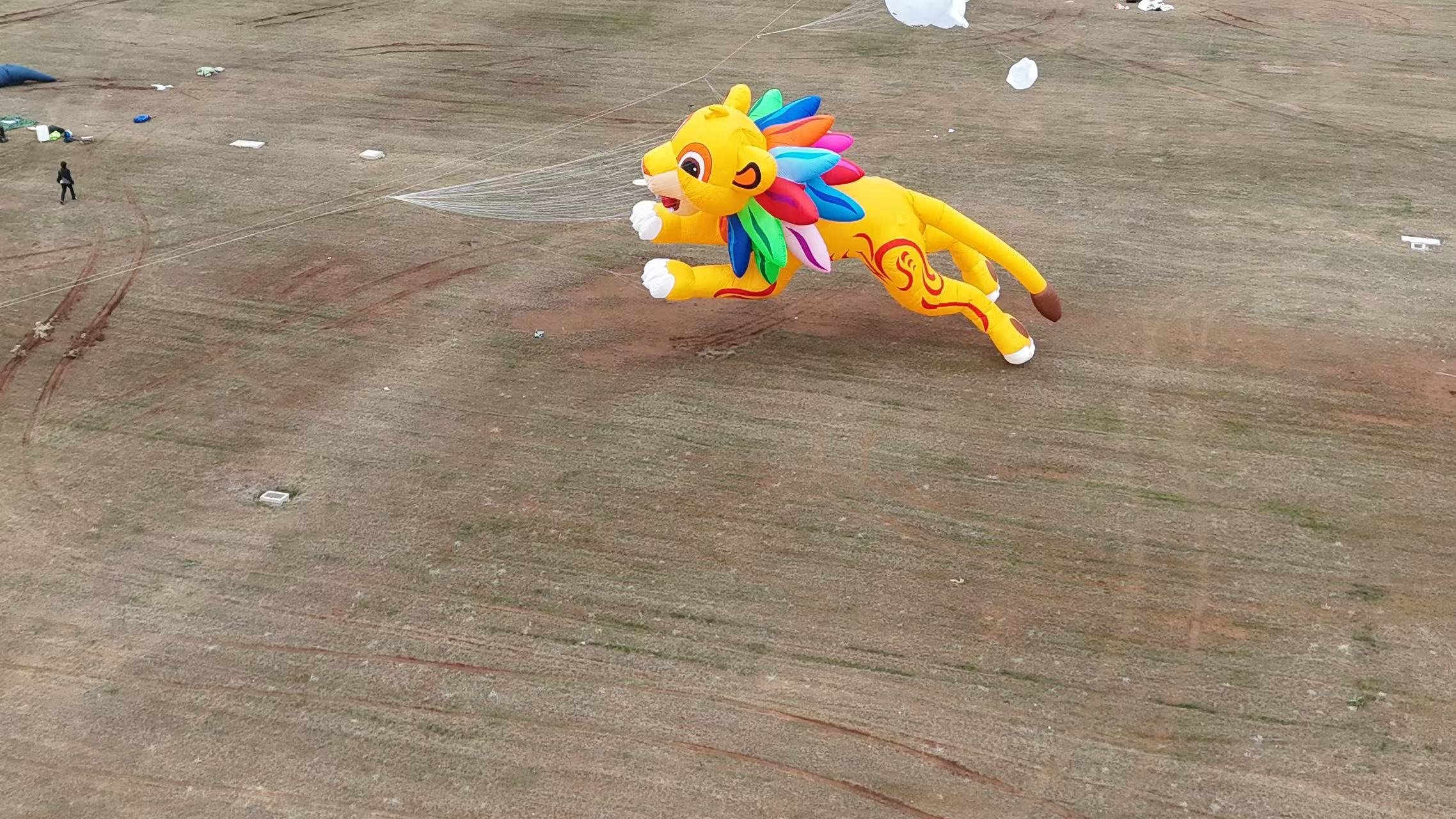 抚顺市品牌风筝定制风筝批发 - 推荐