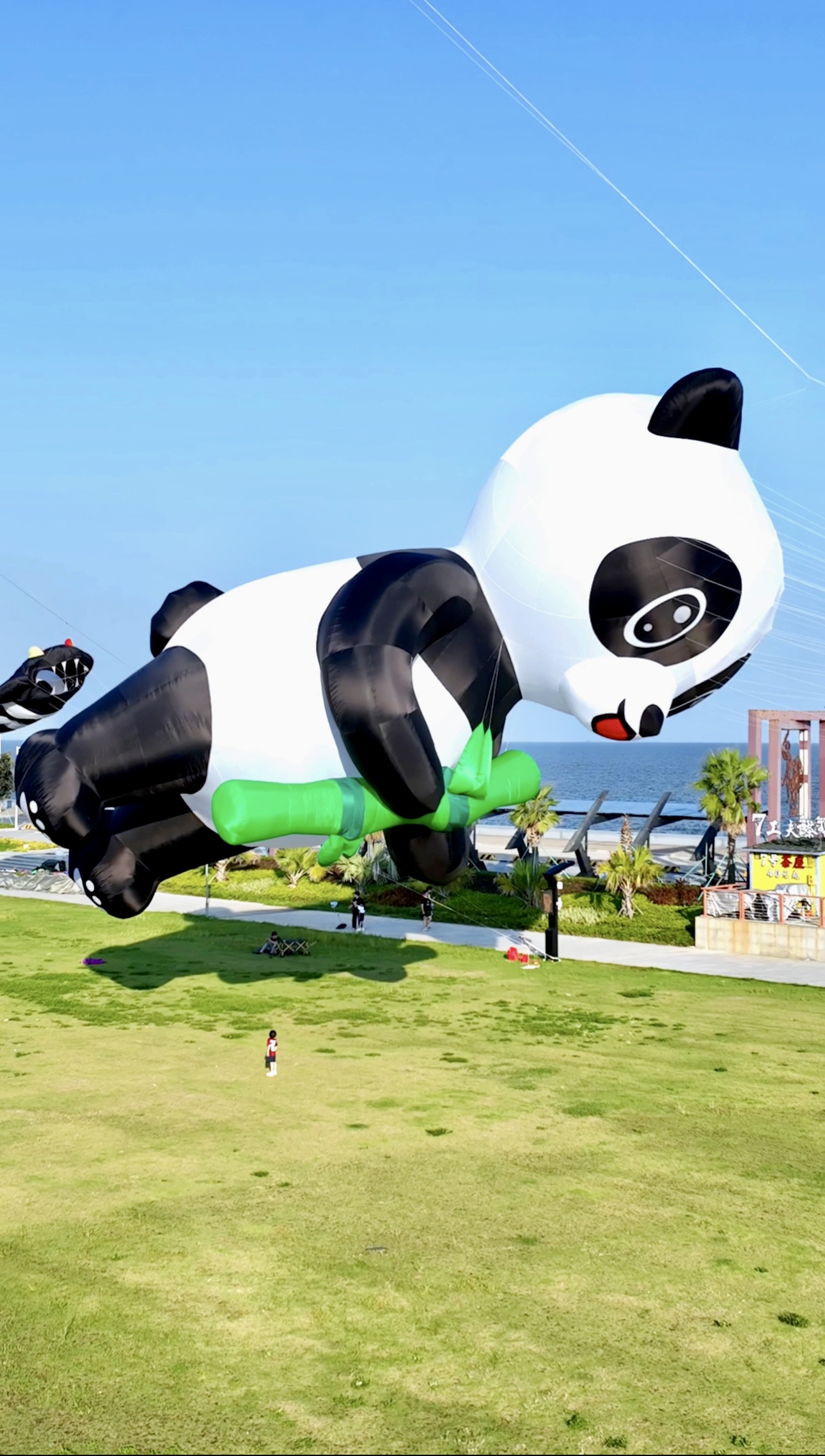 抚顺市风筝批发风筝放飞活动策划 - 排名